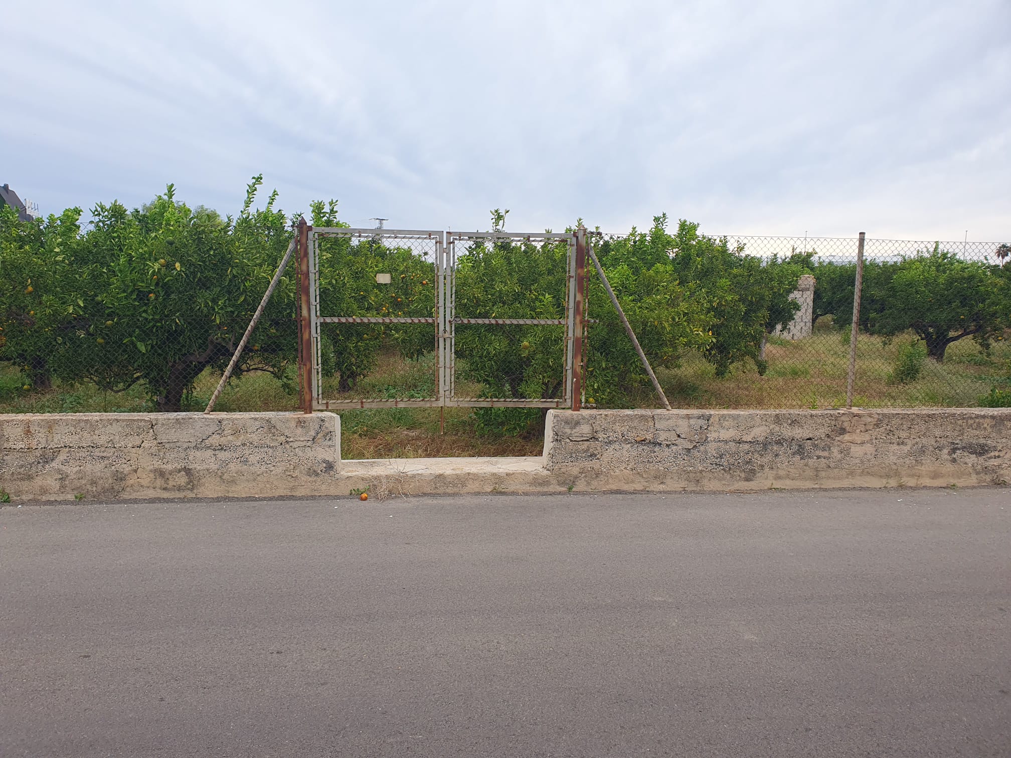 Terreno en Oliva