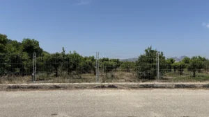 campo vista frontal