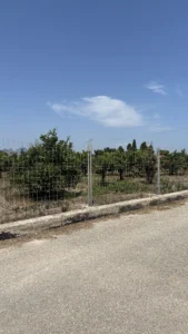 campo vista vallado